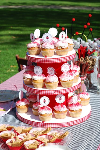 1st birthday party themes for boys. ladybug irthday party first
